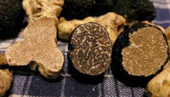 Truffles