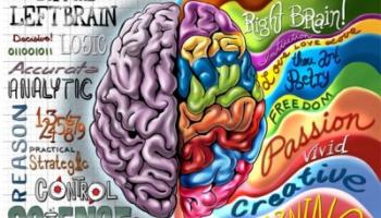 illustration: traits of the "left brain" and "right brain" 