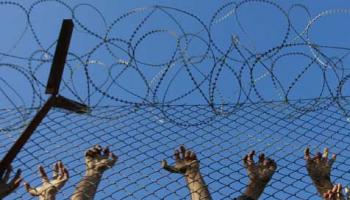 hands reaching up to climb a barbed wire fence