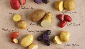 different types of potatoes