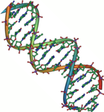 illustration of a strand of DNA