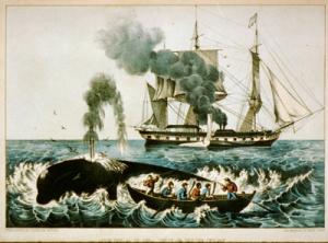 Whaling ship