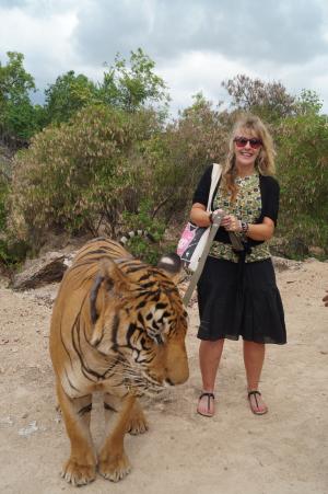 Tiger at the Tiger Temple