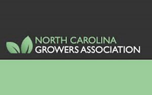 The North Carolina Growers Association is the largest single user of what's commonly called the H-2A guest worker program, which allows farmers to hire foreign workers for up to 10 months annually.