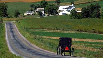 horse and buggy on modern road