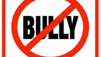 street sign proclaiming "No Bully Zone"