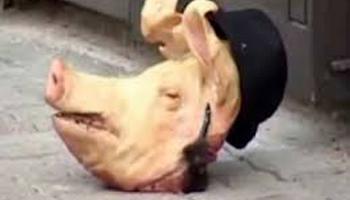 Anti-Semitic acts, including the delivery of packages with pig heads, are occurring in the Jewish community in Rome.