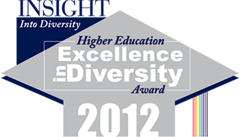 Excellence in Diversity Award illustration