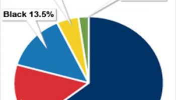 2010 Census shows the growing population of minorities in the U.S.