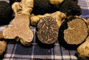 Truffles