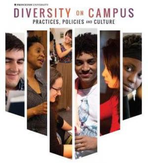 Diversity on Campus illustration