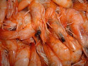 cooked shrimp