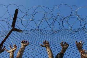 hands reaching up to climb a barbed wire fence